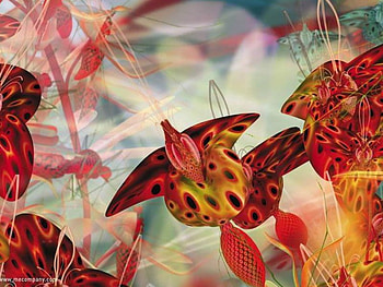 Spotted Flowers, hazy, misty, 3d HD wallpaper