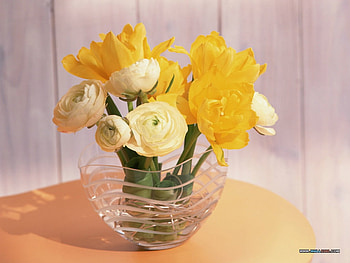 A Bowl Of Sun, bouquet, yellow, soft, glass, flowers, , spring, dish HD wallpaper