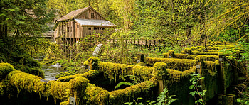 Washington State Travels - Cedar Creek Grist Mill, Forest landscape HD wallpaper