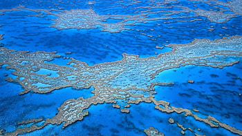 Australia's Great Barrier Reef, Stunning underwater landscapes, Vibrant marine life, Colorful coral reefs HD wallpaper