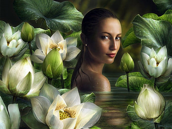 FLOWER among FLOWERS, graphics, nature, flowers, 3d HD wallpaper