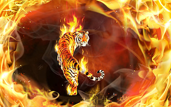 Abstract, Flame, Tiger, Around, Embraced HD wallpaper