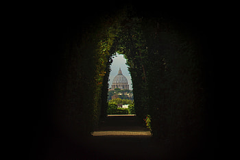 Plants, Cities, Architecture, Arch, Dome HD wallpaper