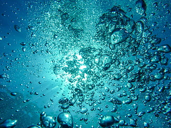 Capture of underwater bubbles rising towards the surface with sunlight streaming through. HD wallpaper