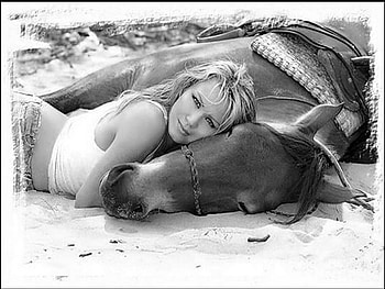 Love of horses, horse, white, black, woman HD wallpaper