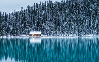 Lake Louise, winter, snow, louise, lake HD wallpaper
