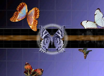 3D Butterflies, butterflies, tiles, flower HD wallpaper