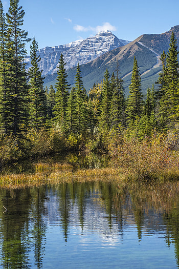 Nature, Trees, Sky, Mountains, Lake, Reflection, Spruce, Fir HD phone wallpaper