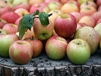 Fruits, Food, Apples HD wallpaper