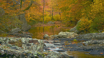 National Wildlife Refuge Ouachita, Arkansas, stream, autumn, trees, forest, rocks, usa, stones HD wallpaper