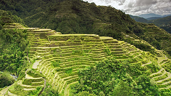 Rice terraces, Philippines HD wallpaper