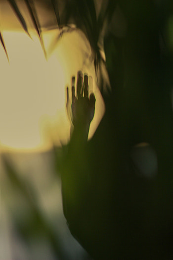Dark, Hand, Palm, Shadow, Wall HD phone wallpaper
