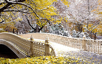 Fall-themed Central Park , Autumn beauty, Seasonal charm, New York scenery HD wallpaper