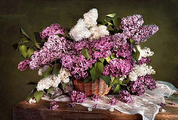 Still Life, basket, lilacs, nature, flowers, lilac HD wallpaper