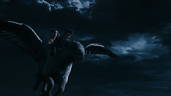 Buckbeak HD wallpaper