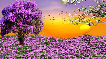ID 2223285 - Nexus Nature | February 2017 | Pinterest | backgrounds, Fields and HD wallpaper