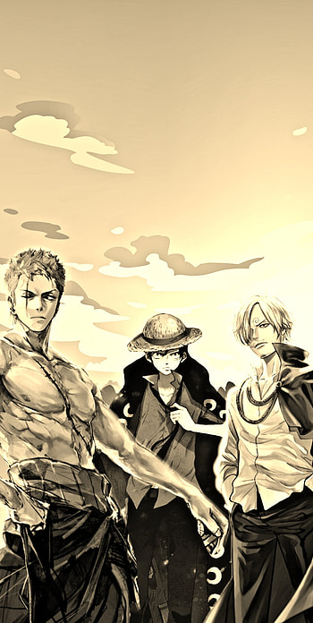 One piece, luffy, zoro, sanji, anime HD phone wallpaper