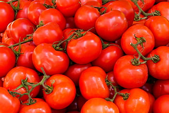 A vivid collection of fresh, ripe red tomatoes perfect for nutritious meals. HD wallpaper