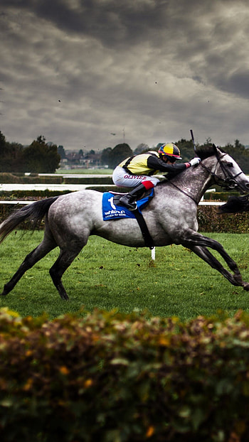 Horse racing , backgrounds, Top HD phone wallpaper