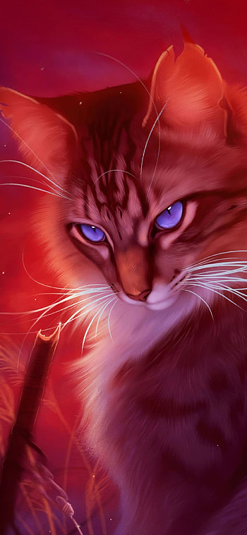 Cat, , Mobile , Keywords HD phone wallpaper