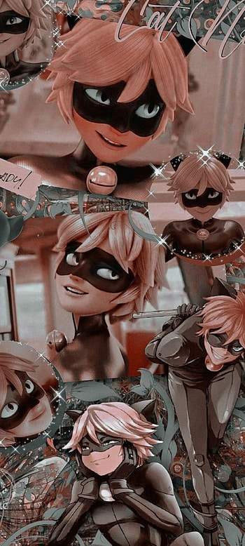 Cat noir, eye, head HD phone wallpaper