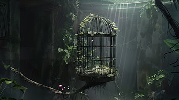 Mystical Forest Birdcage, birdcage, cage, jungle, light, nature HD wallpaper