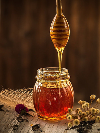 Honey in technology, Bio-inspired computing, Ingenious circuits, Artificial intelligence HD phone wallpaper