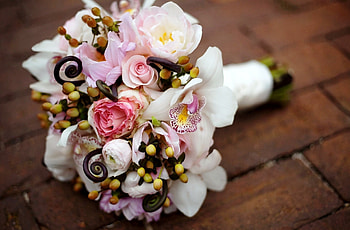 Flowers, Roses, Beauty, Bouquet, Irises HD wallpaper