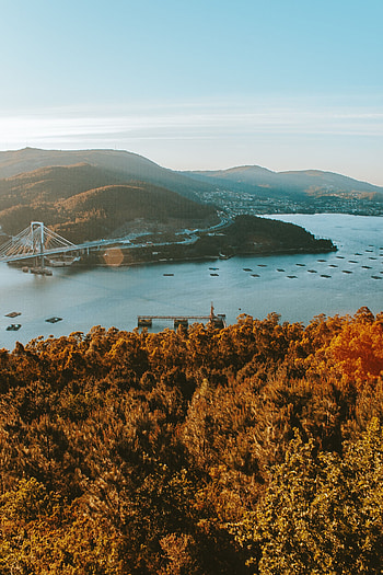 Nature, Water, View From Above, Coast, Hills, Bridge HD phone wallpaper