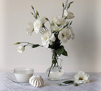 milk and roses, milk, still life, roses, graphy HD wallpaper