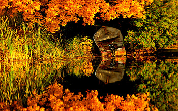 Beautiful Autumn, boat, colorful, colors, peaceful, beauty, reflection, boats, trees, autumn, water, fall, beautiful, grass, lake, leaves, green, autumn colors, view, nature, lovely HD wallpaper