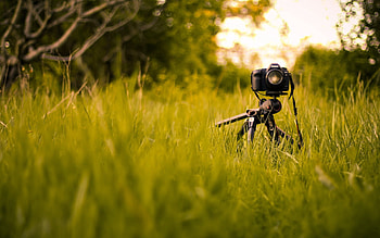 Grass, Miscellanea, Miscellaneous, Camera, Tripod HD wallpaper