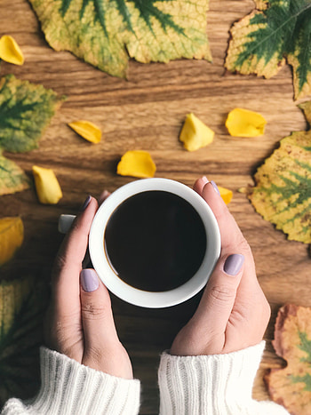 Food, Leaves, Coffee, Cup, Hands HD phone wallpaper