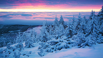 Giant Mountains, Poland, sunset, snow, winter, trees, landscape, clouds, sky HD wallpaper