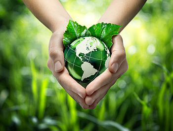 Go Green, Ross Companies, Eco-friendly apartments in Silver Spring HD wallpaper