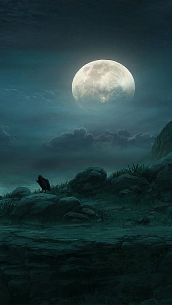 Moon, Night Forest HD phone wallpaper