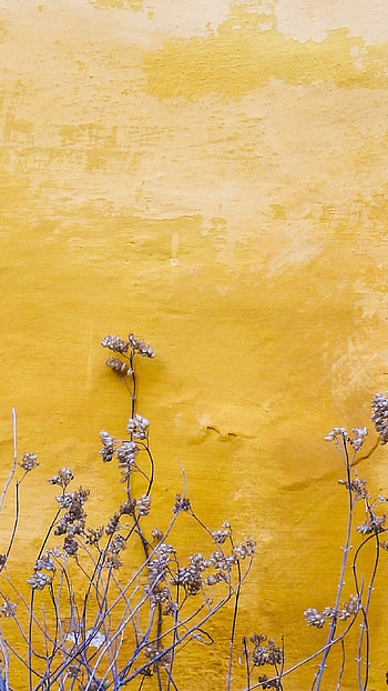 A Yellow, Abstract, Aesthetic Background, aesthetic, background HD phone wallpaper