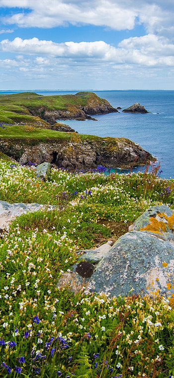 Epic coastlines, Stunning beaches, Earth's wonders, Mesmerizing beauty HD phone wallpaper