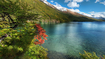 Calm Lake, blue, orange, land, mountain, lake, daylight, day, leaves, green, clouds, trees, nature, sky, water, forest HD wallpaper