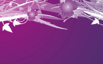 Flowers, Patterns, Vector, Lines, Graphics HD wallpaper