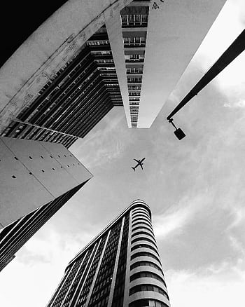 Black and white of skyscrapers with an airplane overhead, creating dramatic perspective. HD phone wallpaper