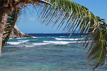 Nature, Sea, Waves, Palm HD wallpaper