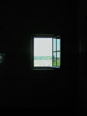 Wall, Window HD phone wallpaper