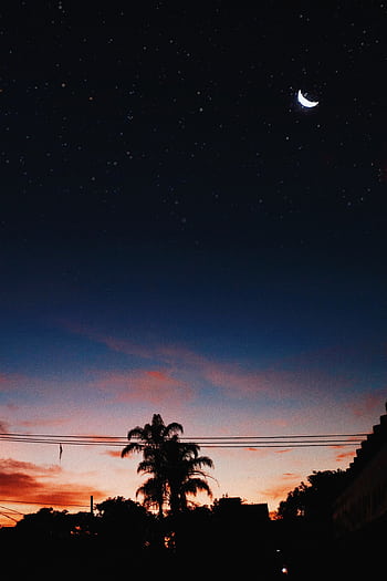 Silhouette of trees at dusk with a starry sky and crescent moon in Itinga, Brazil. HD phone wallpaper