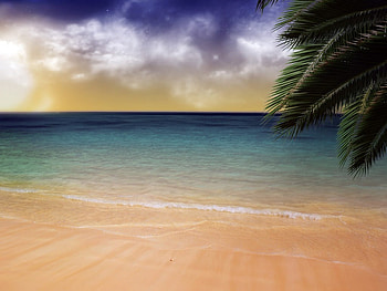 Sweet beach, sand, water, palm, beach HD wallpaper