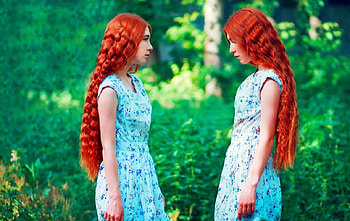 Twin, redheads, girls, hair HD wallpaper