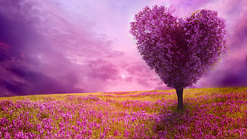 Top 10 Spring Season Backgrounds/ HD wallpaper