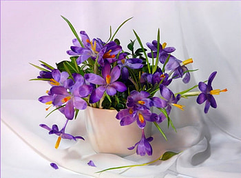 Spring flowers, vase, spring, fresh, purple, still life, delicate, violet, petals, blooming, nature, flowers, crocuses HD wallpaper
