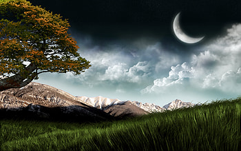 Landscape, Nature HD wallpaper