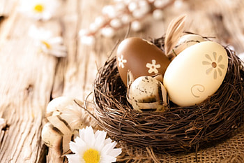 Easter, wood, camomile, flowers, eggs, nest HD wallpaper